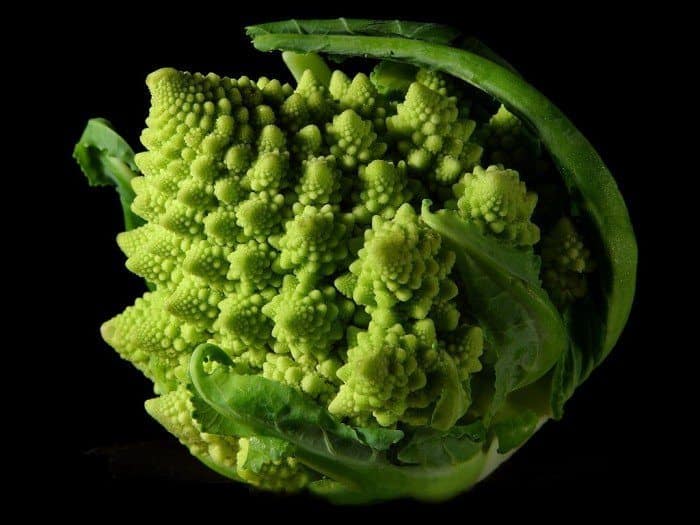 best brain food like broccoli is great food for your brain