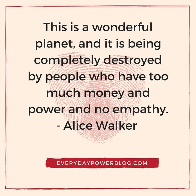 alice walker quotes about life