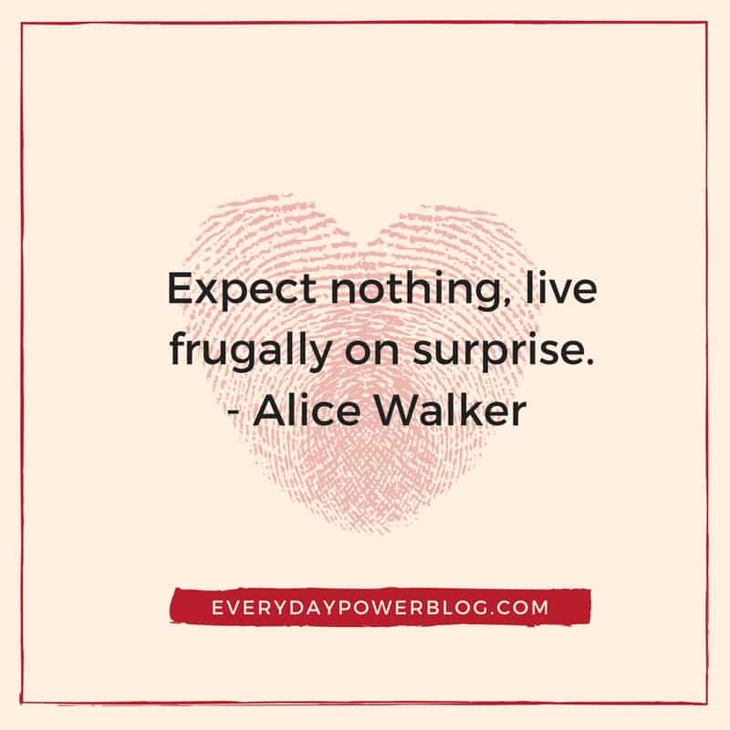 alice walker quotes about surpirses