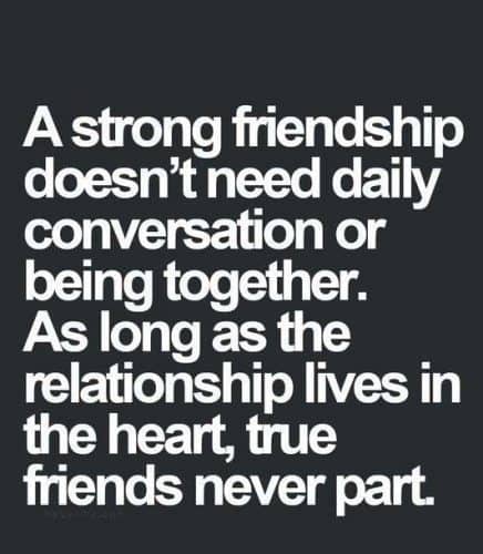 110 Friendship Quotes Celebrating Your Best Friends (2019)