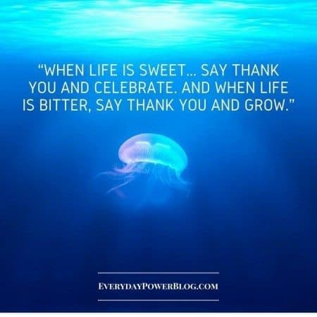 gratitude quotes life grow