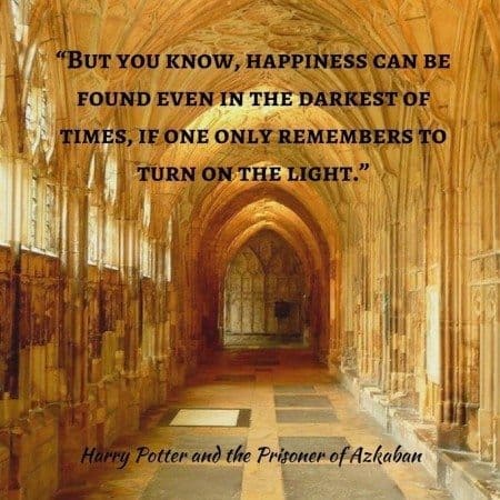 harry potter quotes turn on the light