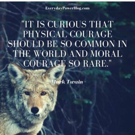 Courage Quotes about life