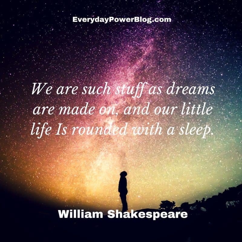 80 Dream Quotes On Life Love The Future 21