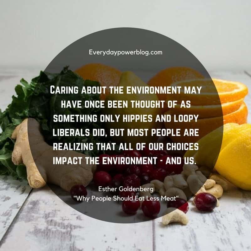 Why People Should Eat Less Meat Why People Should Eat Less Meat