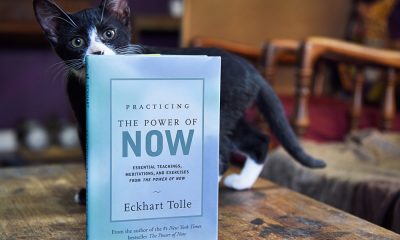 25 Inspirational Eckhart Tolle Quotes About Life, Love and The Power Of Now