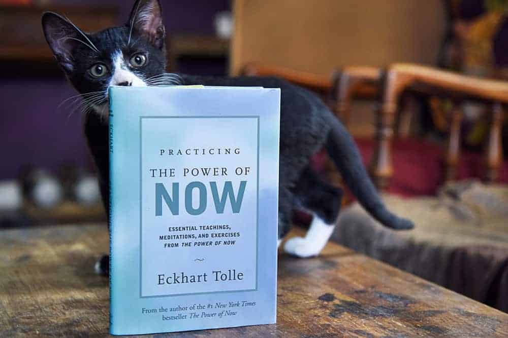 #Inspirational Eckhart Tolle Quotes About Life, Love and The Power Of Now