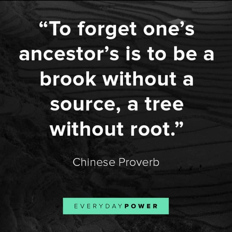 85 Chinese Proverbs, Sayings & Quotes on Family, Life & Health (2021)