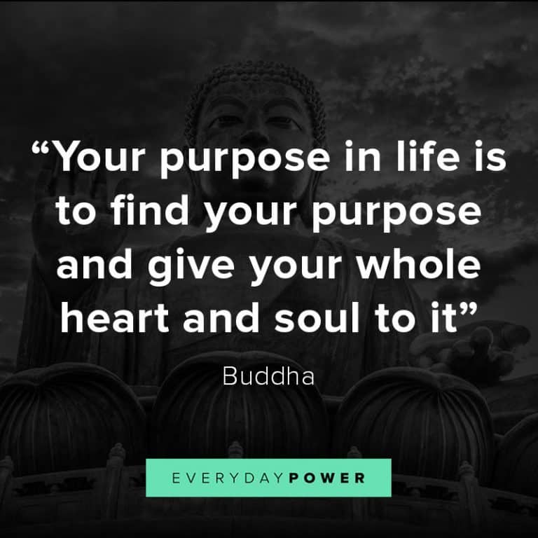 105 Buddha Quotes To Ignite Your Spirit