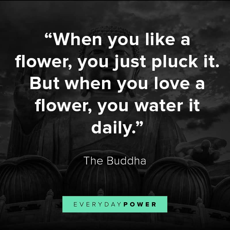 Buddha quotes about loving your life