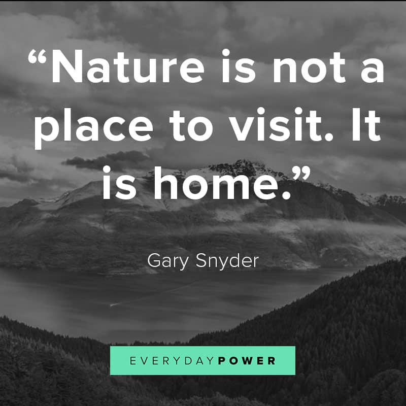 105 Nature Quotes About Mother Earth S Beauty 2020