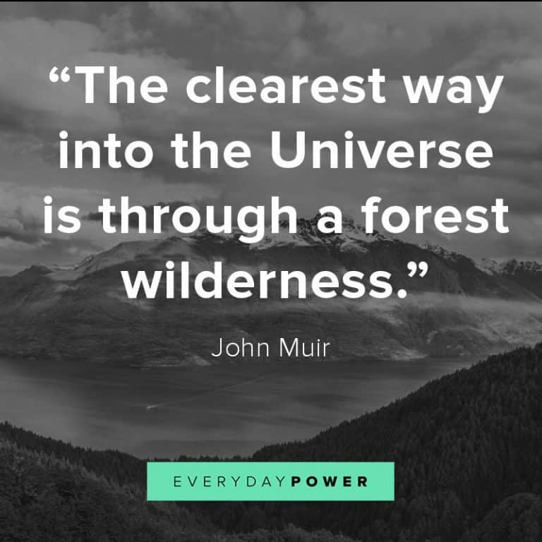 115 Nature Quotes About Mother Earth's Beauty (2022)