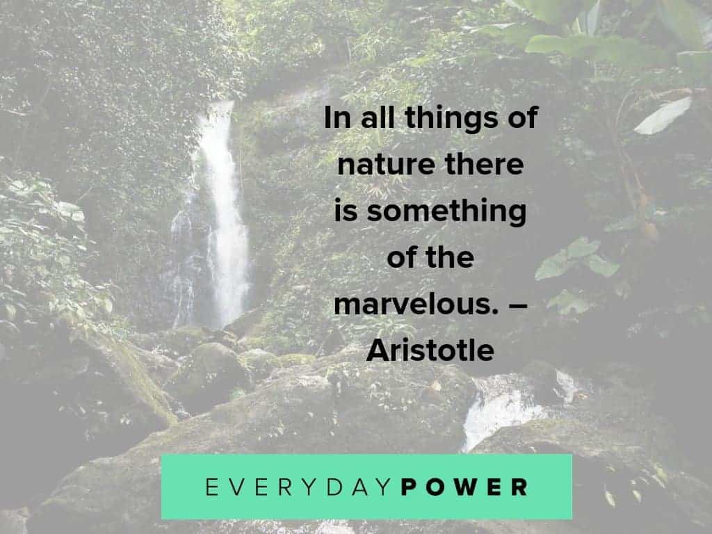 Nature Quotes Celebrating Mother Earth's Beauty