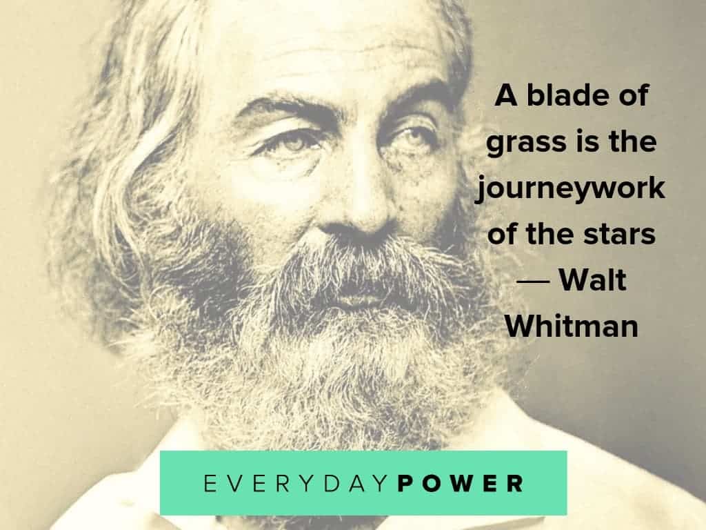 walt whitman quotes about stars
