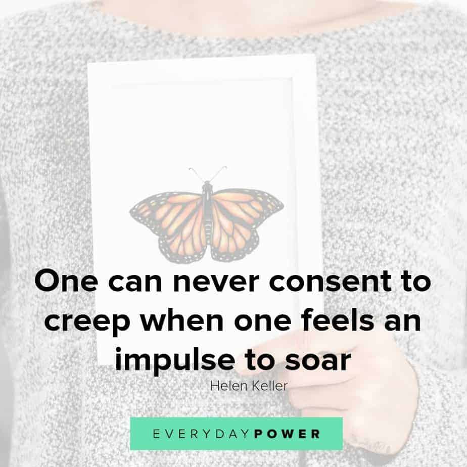 Butterfly quotes about one can never consent to creep when one feels an impulse to soar
