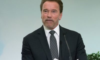 60 Arnold Schwarzenegger Quotes On Success & Motivational Phrases