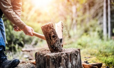Business Success: Chop Wood and Carry Water