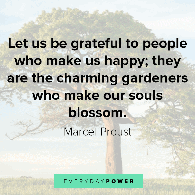 269 Appreciation Quotes About Life Love Friends 269-appreciation-quotes-about-life-love-friends