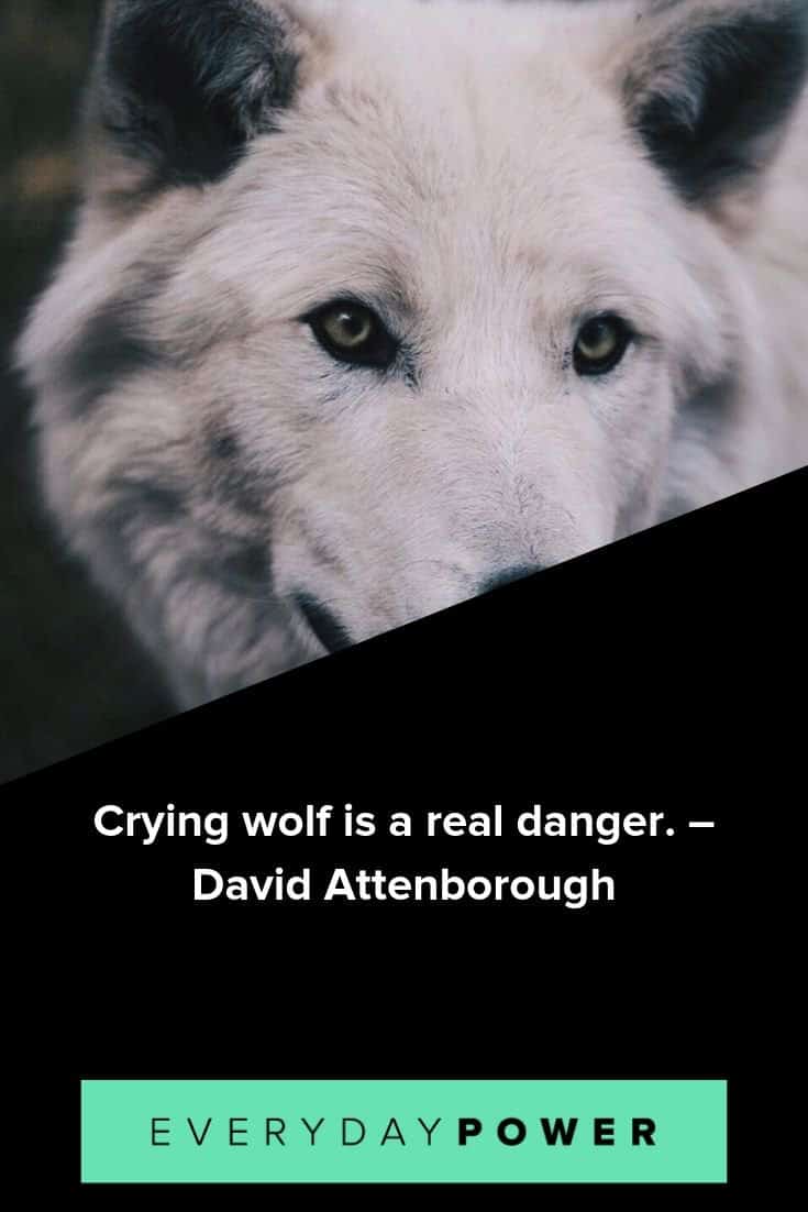 Crying Wolf Quotes 