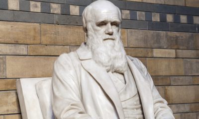 50 Charles Darwin Quotes To Build Your Foundation Of Scientific Reasoning