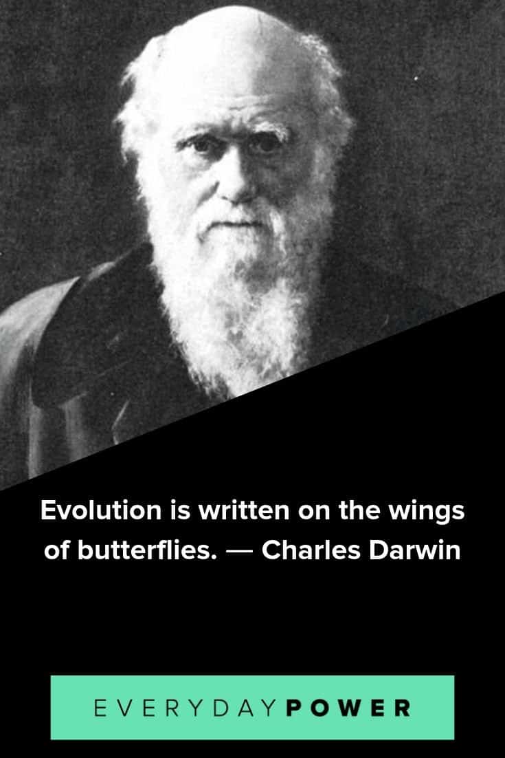 charles darwin's theory of evolution