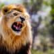 10 Ways to Unleash The Beast In You