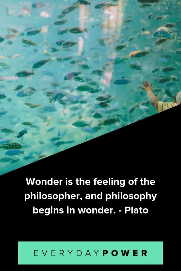 Wonder quotes that will make you feel alive