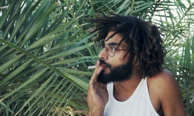 50 Weed Quotes to Lift Your Stoner Spirits