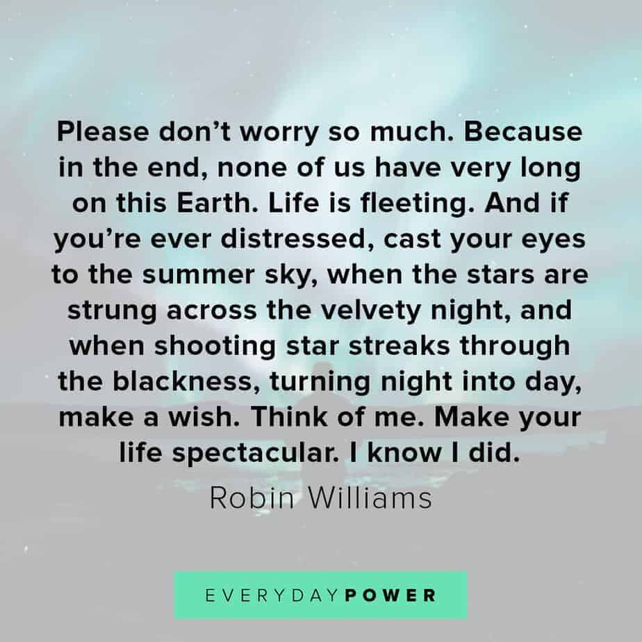 Robin Williams quotes on shooting stars
