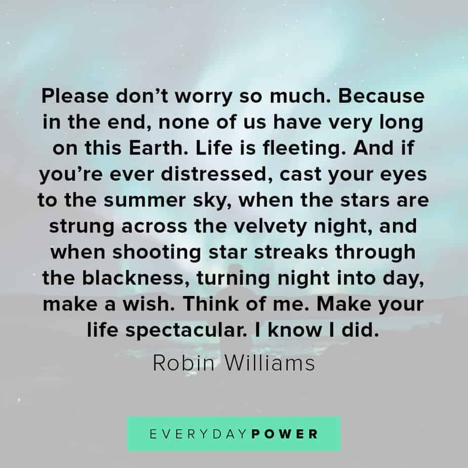 robin williams quotes about life