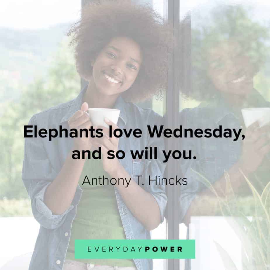 hump day i love you quotes