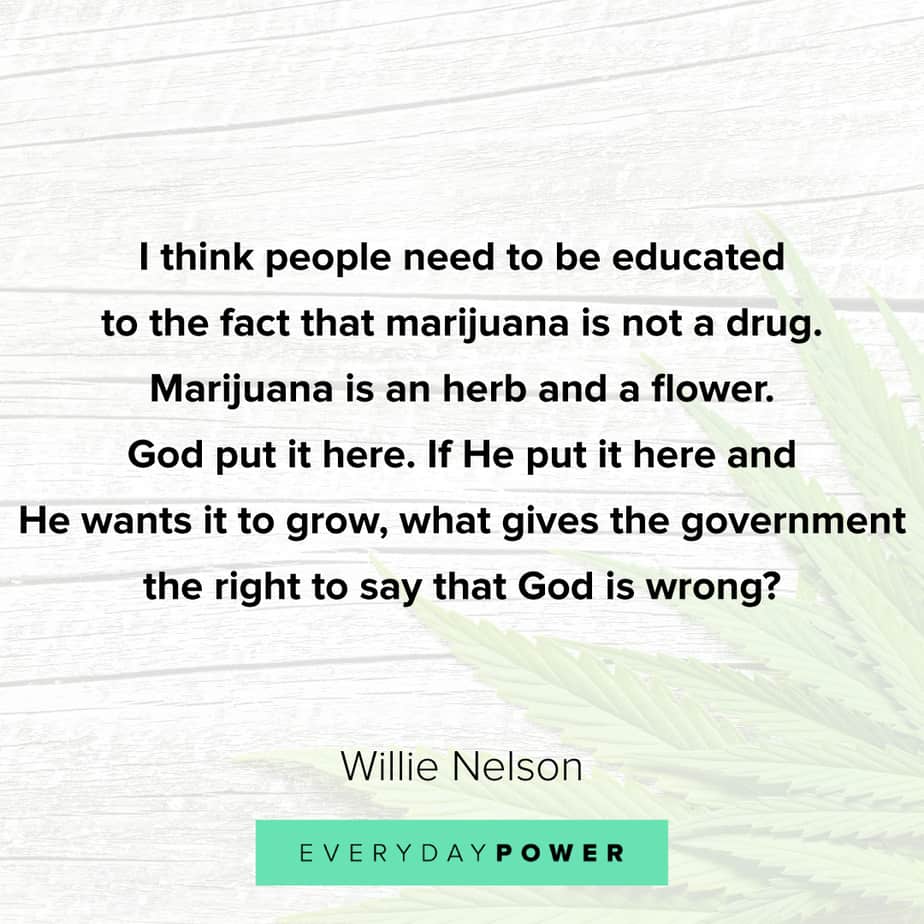 Weed Quotes about the herb