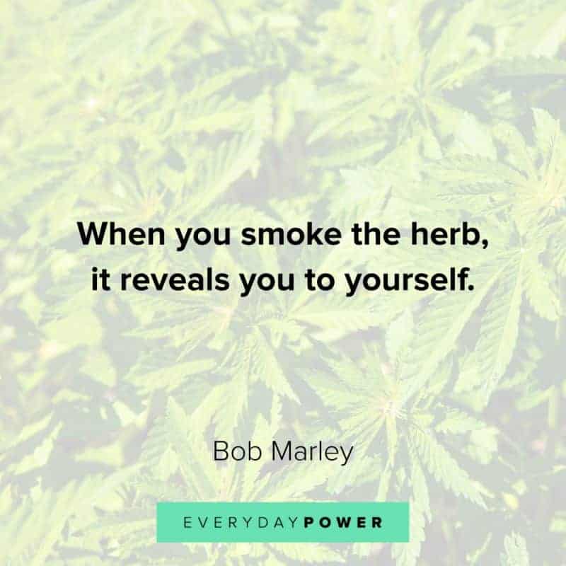 139 Weed Quotes To Lift Your Stoner Spirits 9042