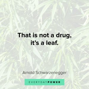 139 Weed Quotes To Lift Your Stoner Spirits