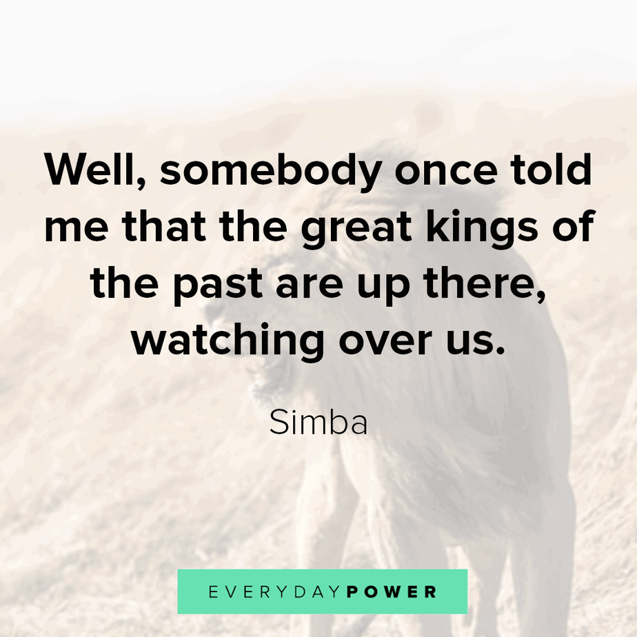 lion king quotes about the kingdom