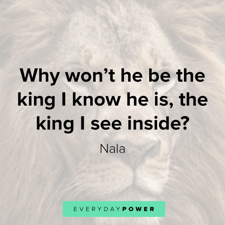 25 Lion King Quotes to Inspire Your Inner Simba