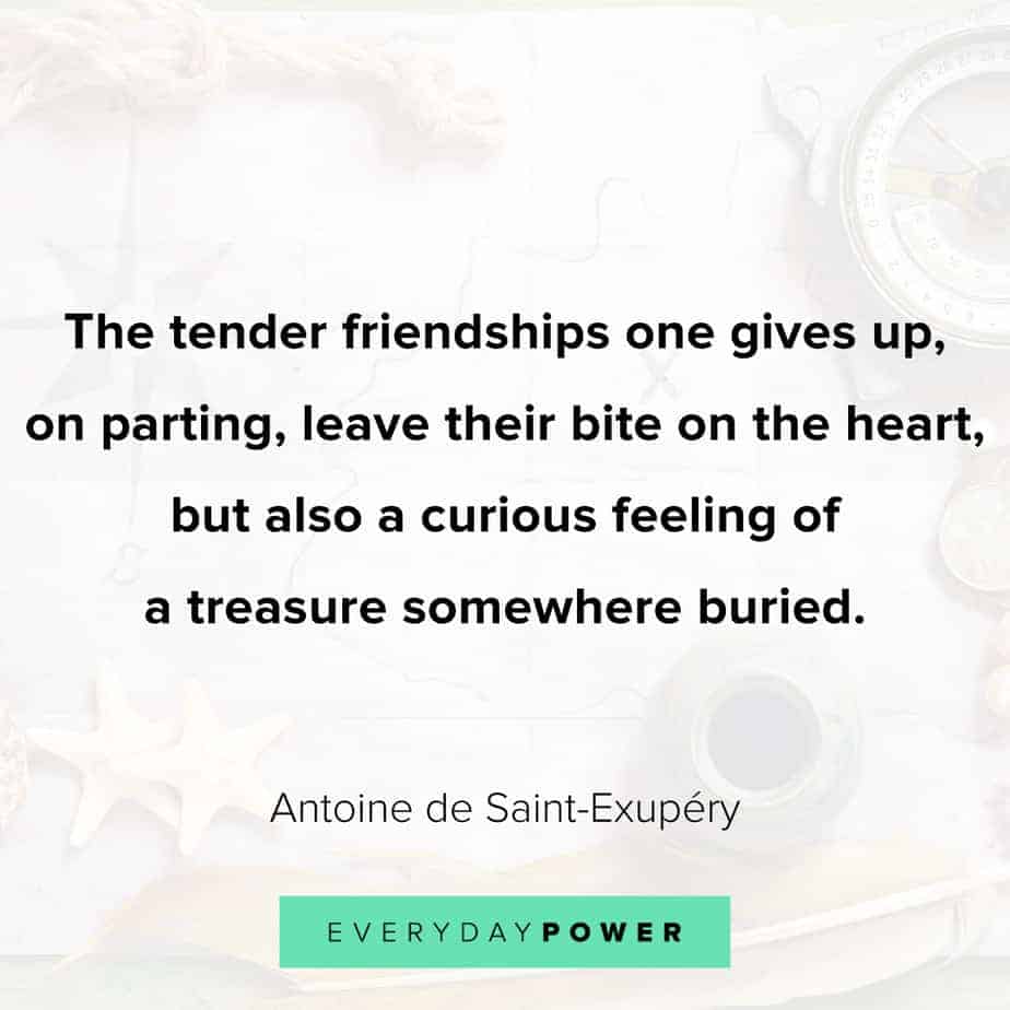 66 Friendship Quotes that Celebrate True Friendship