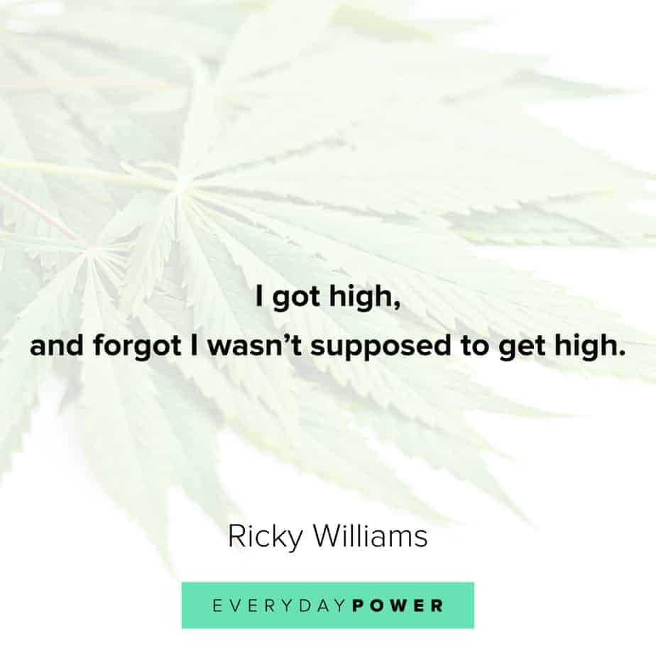 Weed Quotes on getting high