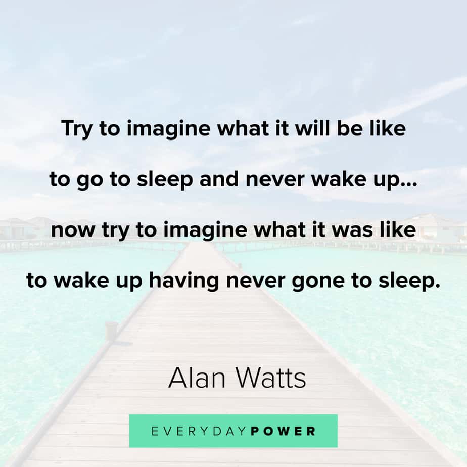 Alan Watts Quotes on imagination