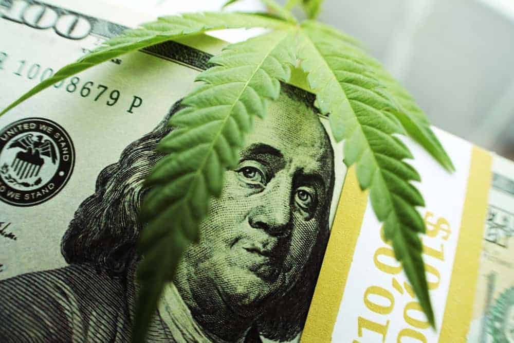 marijuana legal