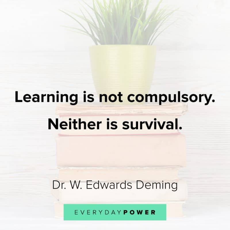 180 Education Quotes On Learning & Students | Everyday Power
