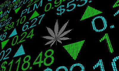 Are Cannabis Stocks a Good Investment