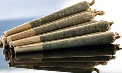 The Simple Guide to Rolling Joints & Blunts
