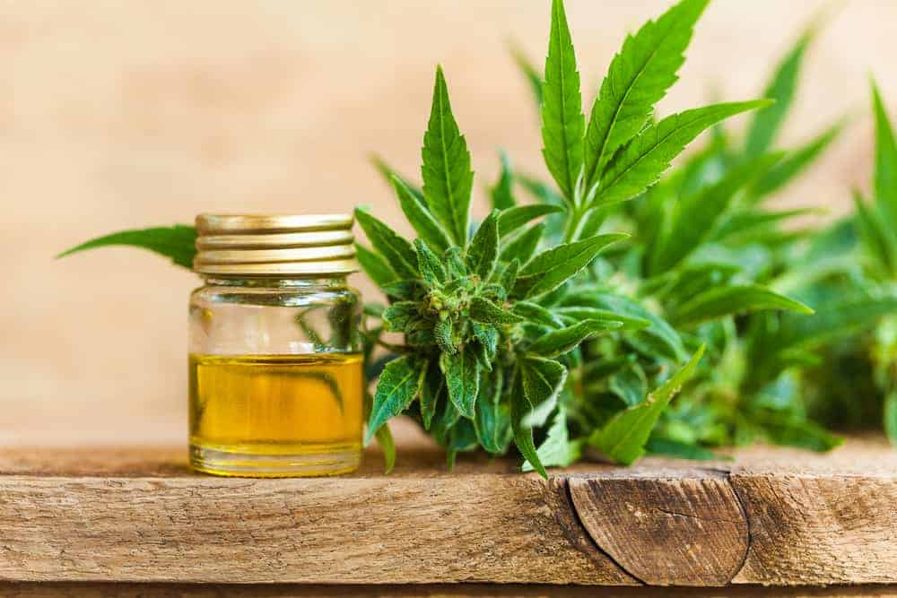 The Ultimate CBD Shopping guide