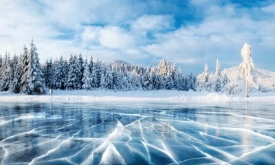 50 Winter Quotes to Celebrate the Season