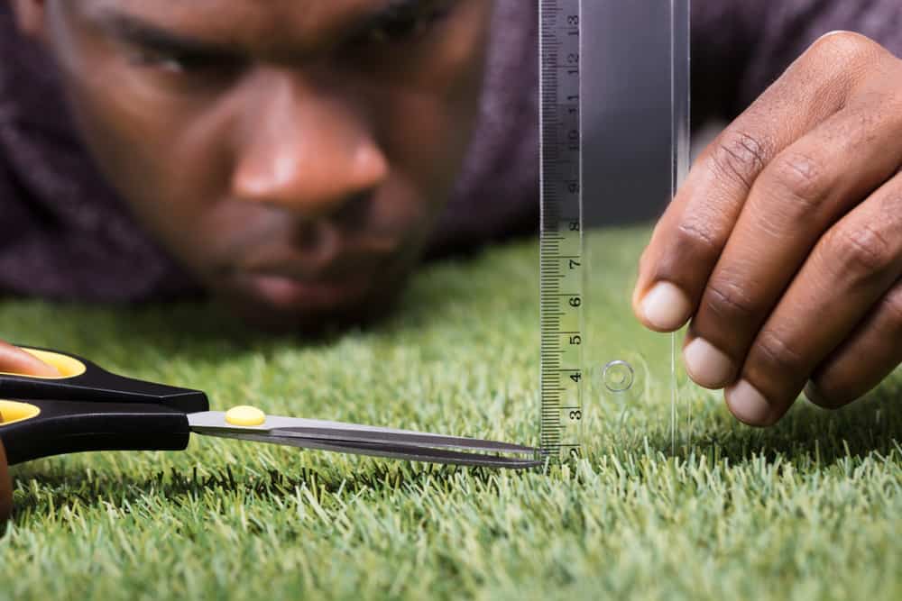 A Man Cutting Grass