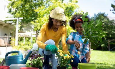 Garden Quotes That Inspire Kindness