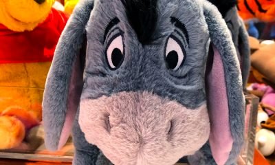 50 Eeyore Quotes To Make You Smile and Think