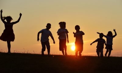Lord of The Flies Quotes to Help You Understand Why Humans Need Structure