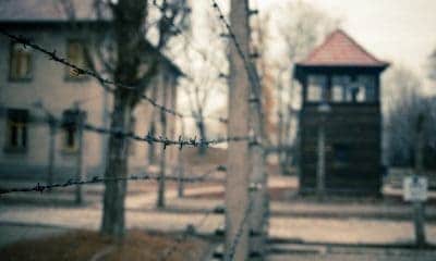 Holocaust Quotes for Remembering